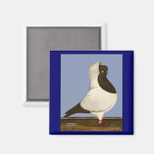 Brown Nun Pigeon Magneet (Voorkant / Achterkant)