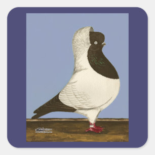 Brown Nun Pigeon Vierkante Sticker