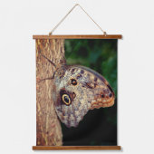 Brown Owl Butterfly Hangend Wandkleed (Voorkant)