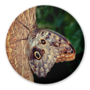 Brown Owl Butterfly Keramische Knop