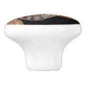 Brown Owl Butterfly Keramische Knop (Zijkant)