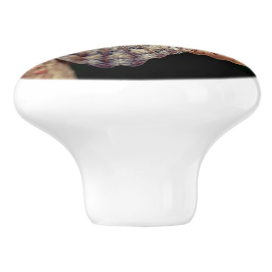 Brown Owl Butterfly Keramische Knop (Zijkant)