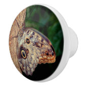 Brown Owl Butterfly Keramische Knop (Rechts)