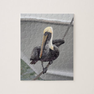 Brown Pelican Balancing on a Rope, Florida Puzzle Legpuzzel