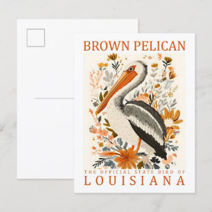 Brown Pelican Bird of Louisiana Verenigde Staten R Briefkaart