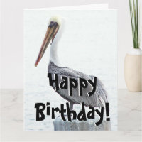 Brown Pelican Bird Wildlife Birthday Wenskaart
