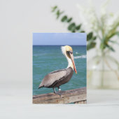 Brown Pelican Briefkaart (Staand voorkant)