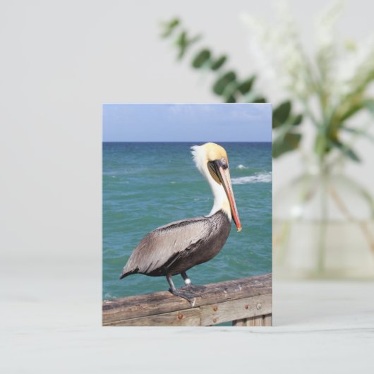 Brown Pelican Briefkaart (Staand voorkant)