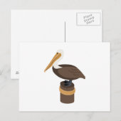 Brown Pelican Briefkaart (Voorkant / Achterkant)