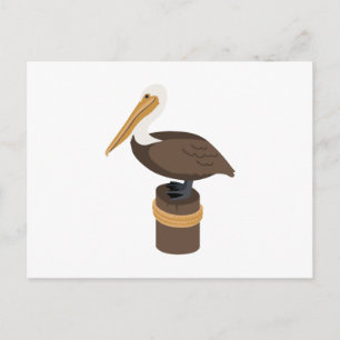 Brown Pelican Briefkaart