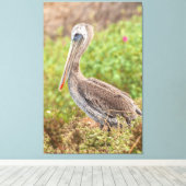 Brown Pelican Canvas Afdruk (Insitu (Houten vloer))