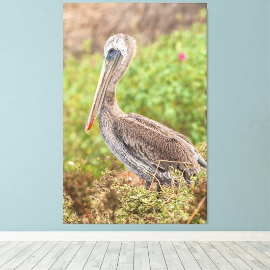 Brown Pelican Canvas Afdruk (Insitu (Houten vloer))