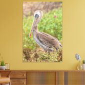 Brown Pelican Canvas Afdruk (Insitu (Woonkamer))