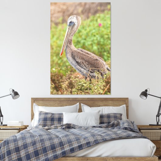Brown Pelican Canvas Afdruk (Insitu (Slaapkamer))