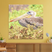Brown Pelican Canvas Afdruk (Insitu (Woonkamer))