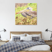 Brown Pelican Canvas Afdruk (Insitu (Slaapkamer))