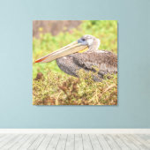 Brown Pelican Canvas Afdruk (Insitu (Houten vloer))
