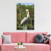 Brown Pelican Canvas Afdruk (Insitu (Woonkamer))