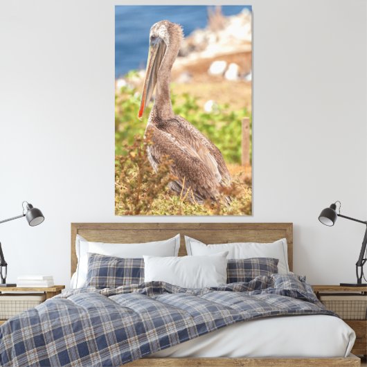 Brown Pelican Canvas Afdruk (Insitu (Slaapkamer))