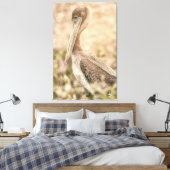 Brown Pelican Canvas Afdruk (Insitu (Slaapkamer))