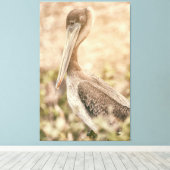 Brown Pelican Canvas Afdruk (Insitu (Houten vloer))