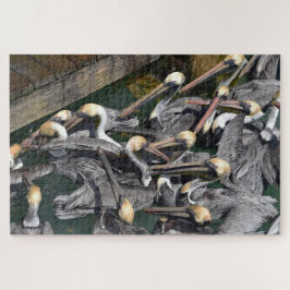 Brown Pelican Crowd, Florida Legpuzzel