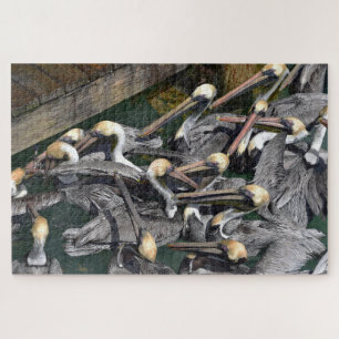 Brown Pelican Crowd, Florida Legpuzzel