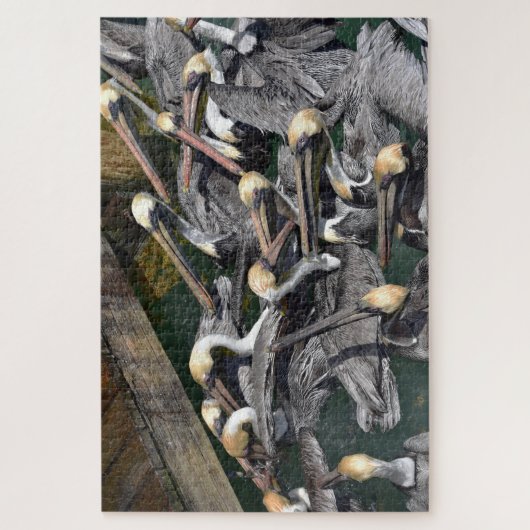 Brown Pelican Crowd, Florida Legpuzzel (Verticaal)