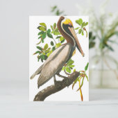 Brown Pelican door John James Audubon Bedankkaart (Staand voorkant)