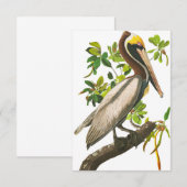 Brown Pelican door John James Audubon Bedankkaart (Voorkant / Achterkant)