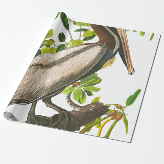 Brown Pelican door John James Audubon Cadeaupapier (Uitgerold)
