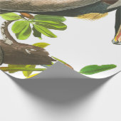 Brown Pelican door John James Audubon Cadeaupapier (Hoek)