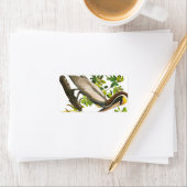 Brown Pelican door John James Audubon Etiket (Insitu)