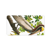 Brown Pelican door John James Audubon Etiket (Voorkant)