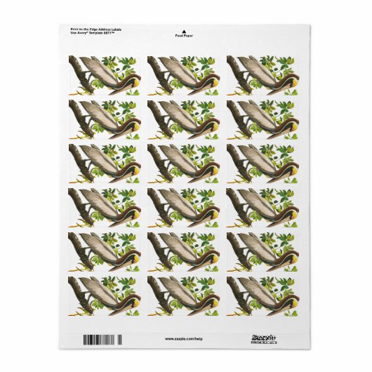 Brown Pelican door John James Audubon Etiket (Full Sheet)