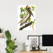 Brown Pelican door John James Audubon Poster (Thuiskantoor)