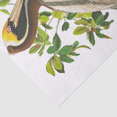 Brown Pelican door John James Audubon Tissuepapier (Detail)