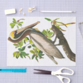 Brown Pelican door John James Audubon Tissuepapier (Craft)