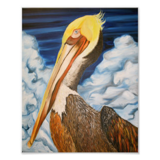 Brown Pelican Foto Afdruk