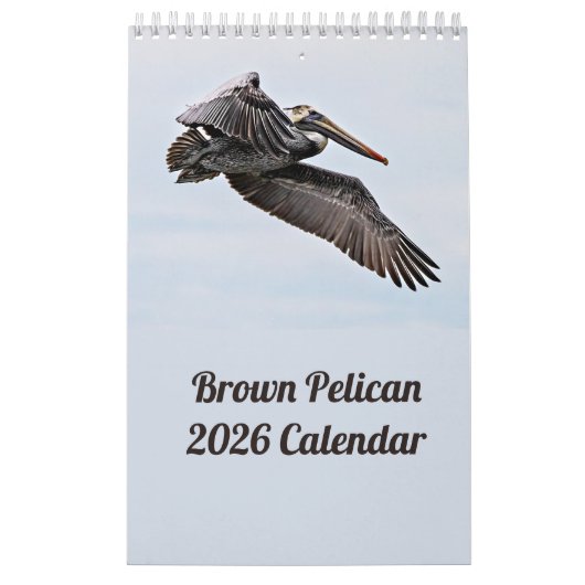 Brown Pelican Kalender 2025 (Hoes)
