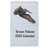 Brown Pelican Kalender 2025 (Hoes)