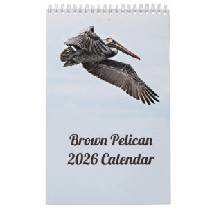 Brown Pelican Kalender 2025