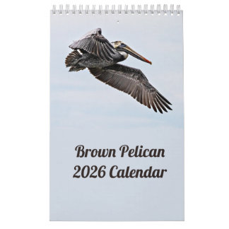 Brown Pelican Kalender 2025