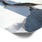 Brown Pelican met Terminal Tower in Cleveland Foto Afdruk (Hoek)