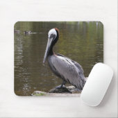 Brown Pelican Muismat (Met muis)