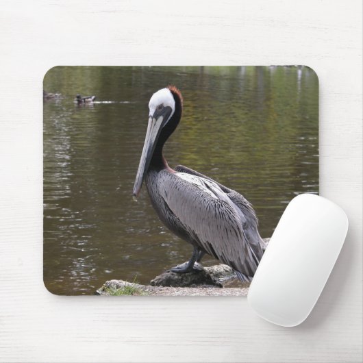Brown Pelican Muismat (Met muis)