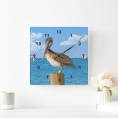 Brown Pelican op Post Vierkante Klok (Huis)
