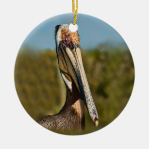 Brown Pelican Ornament