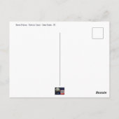 Brown Pelican Outer Banks NC Postcard Briefkaart (Achterkant)