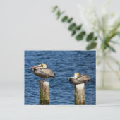 Brown Pelican Pair die op poten staat Briefkaart (Staand voorkant)